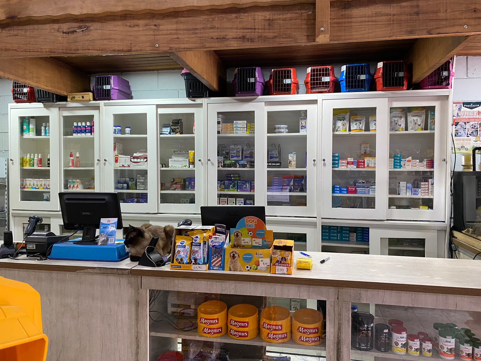 Pet Shop em Santo André
